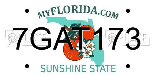7GAT173 Florida License Plate