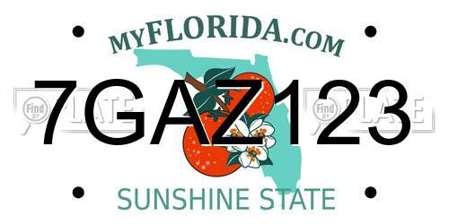 7GAZ123 Florida License Plate