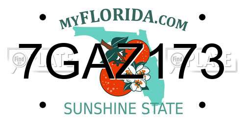 7GAZ173 Florida License Plate