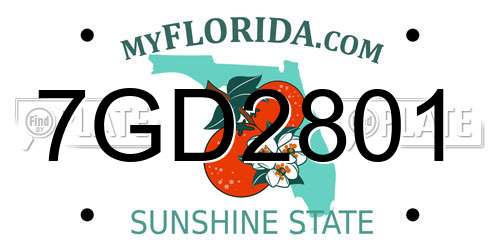 7GD2801 Florida License Plate