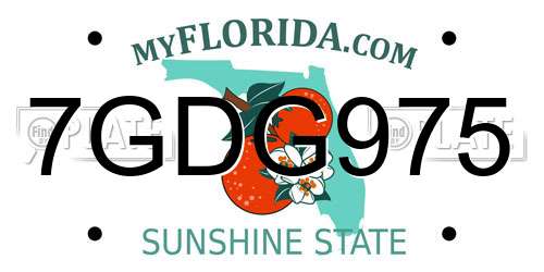 7GDG975 Florida License Plate