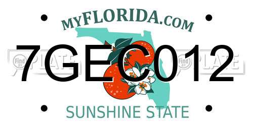 7GEC012 Florida License Plate