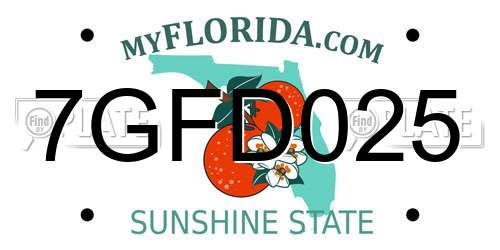 7GFD025 Florida License Plate