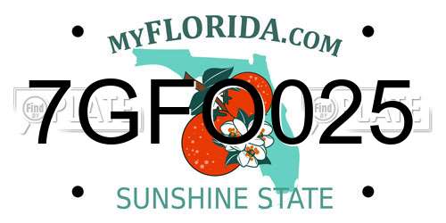 7GFO025 Florida License Plate