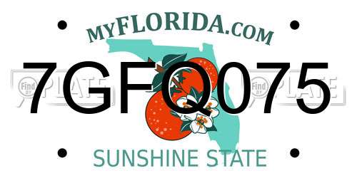 7GFQ075 Florida License Plate