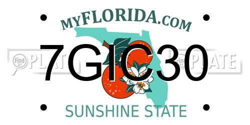 7GIC30 Florida License Plate