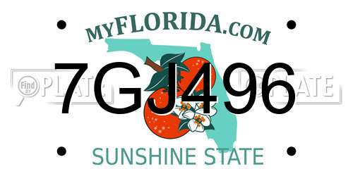 7GJ496 Florida License Plate