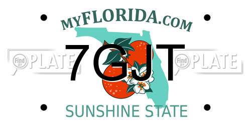7GJT Florida License Plate