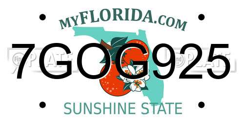 7GOG925 Florida License Plate