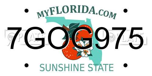7GOG975 Florida License Plate