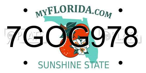 7GOG978 Florida License Plate