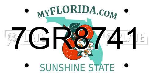 7GR8741 Florida License Plate