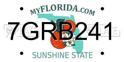 7GRB241 Florida License Plate