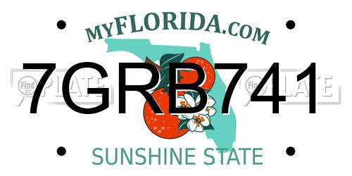 7GRB741 Florida License Plate