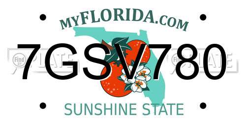 7GSV780 Florida License Plate