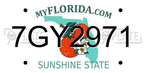 7GY2971 Florida License Plate