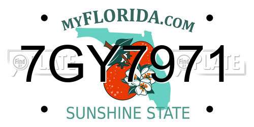 7GY7971 Florida License Plate