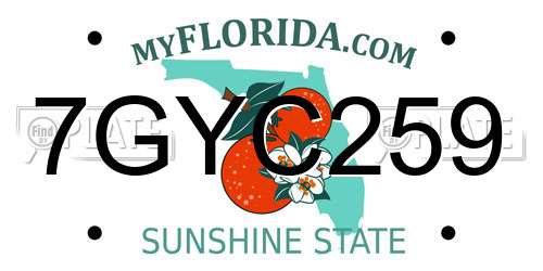 7GYC259 Florida License Plate