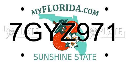 7GYZ971 Florida License Plate
