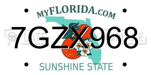 7GZX968 Florida License Plate