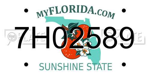 7H02589 Florida License Plate
