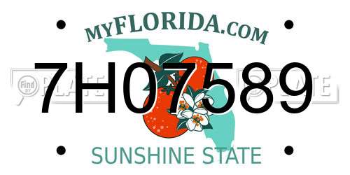 7H07589 Florida License Plate