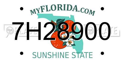 7H28900 Florida License Plate