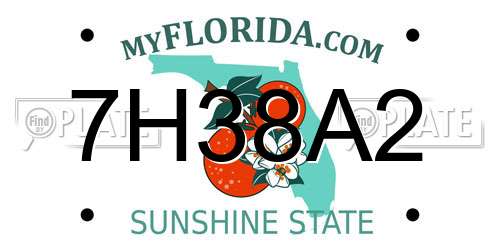 7H38A2 Florida License Plate
