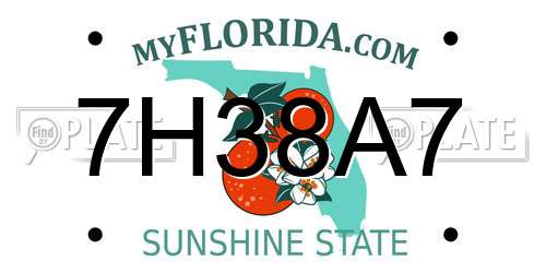 7H38A7 Florida License Plate