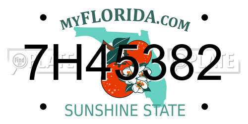 7H45382 Florida License Plate