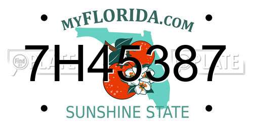 7H45387 Florida License Plate