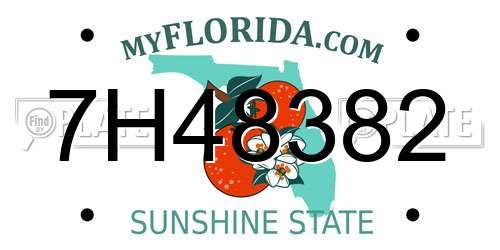 7H48382 Florida License Plate