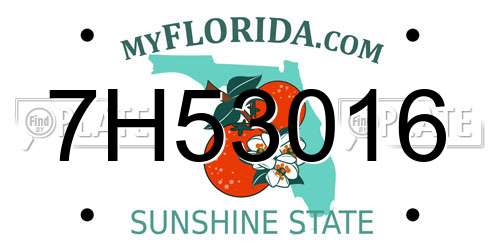 7H53016 Florida License Plate