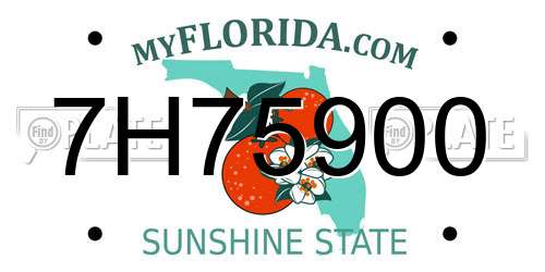 7H75900 Florida License Plate