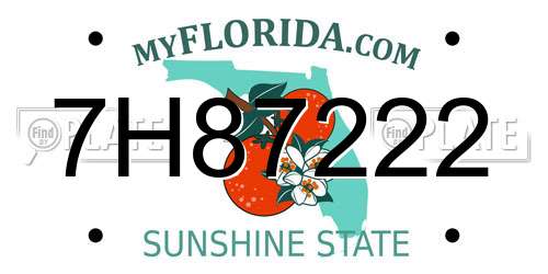 7H87222 Florida License Plate