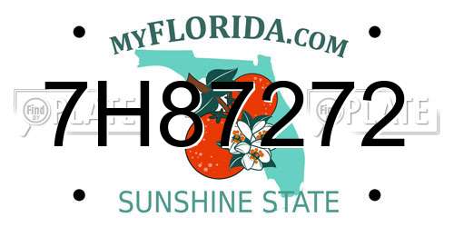 7H87272 Florida License Plate