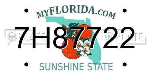 7H87722 Florida License Plate