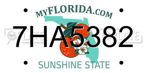 7HA5382 Florida License Plate