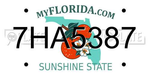 7HA5387 Florida License Plate