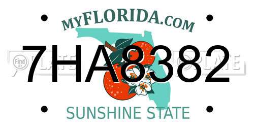 7HA8382 Florida License Plate
