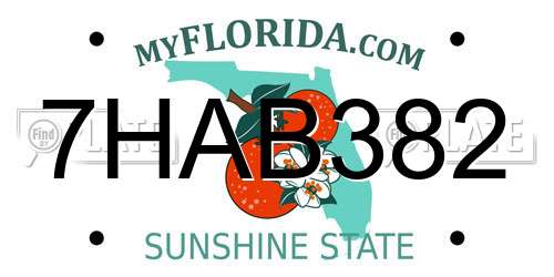 7HAB382 Florida License Plate
