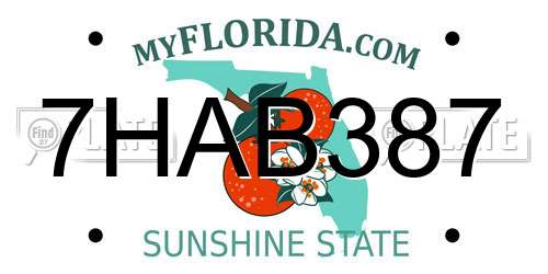 7HAB387 Florida License Plate