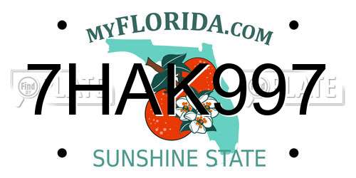 7HAK997 Florida License Plate
