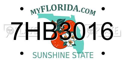 7HB3016 Florida License Plate