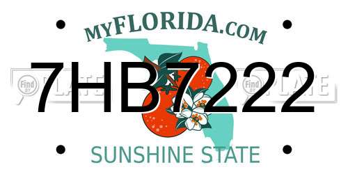 7HB7222 Florida License Plate