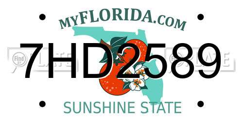 7HD2589 Florida License Plate