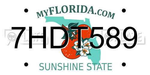 7HDT589 Florida License Plate