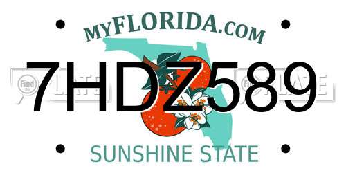 7HDZ589 Florida License Plate