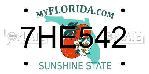 7HE542 Florida License Plate