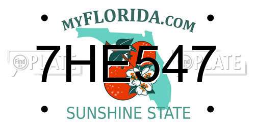 7HE547 Florida License Plate